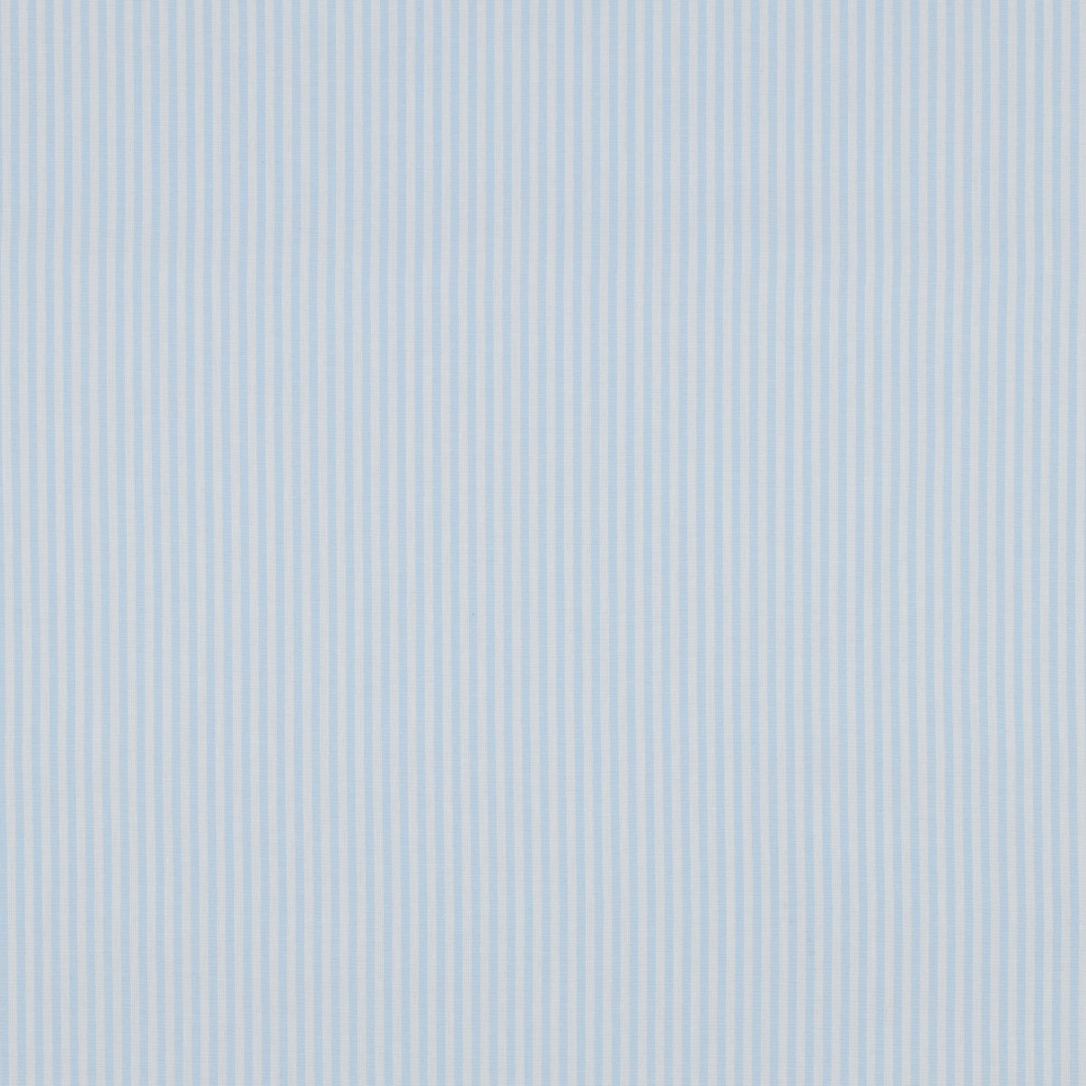 Yarn-Dyed Cotton Stripe in Light Blue