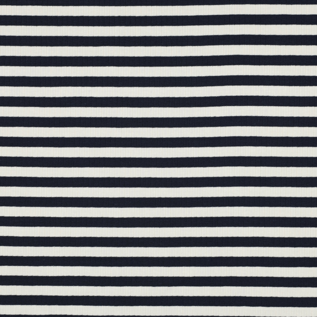 Striped Cotton Rib Knit in Navy