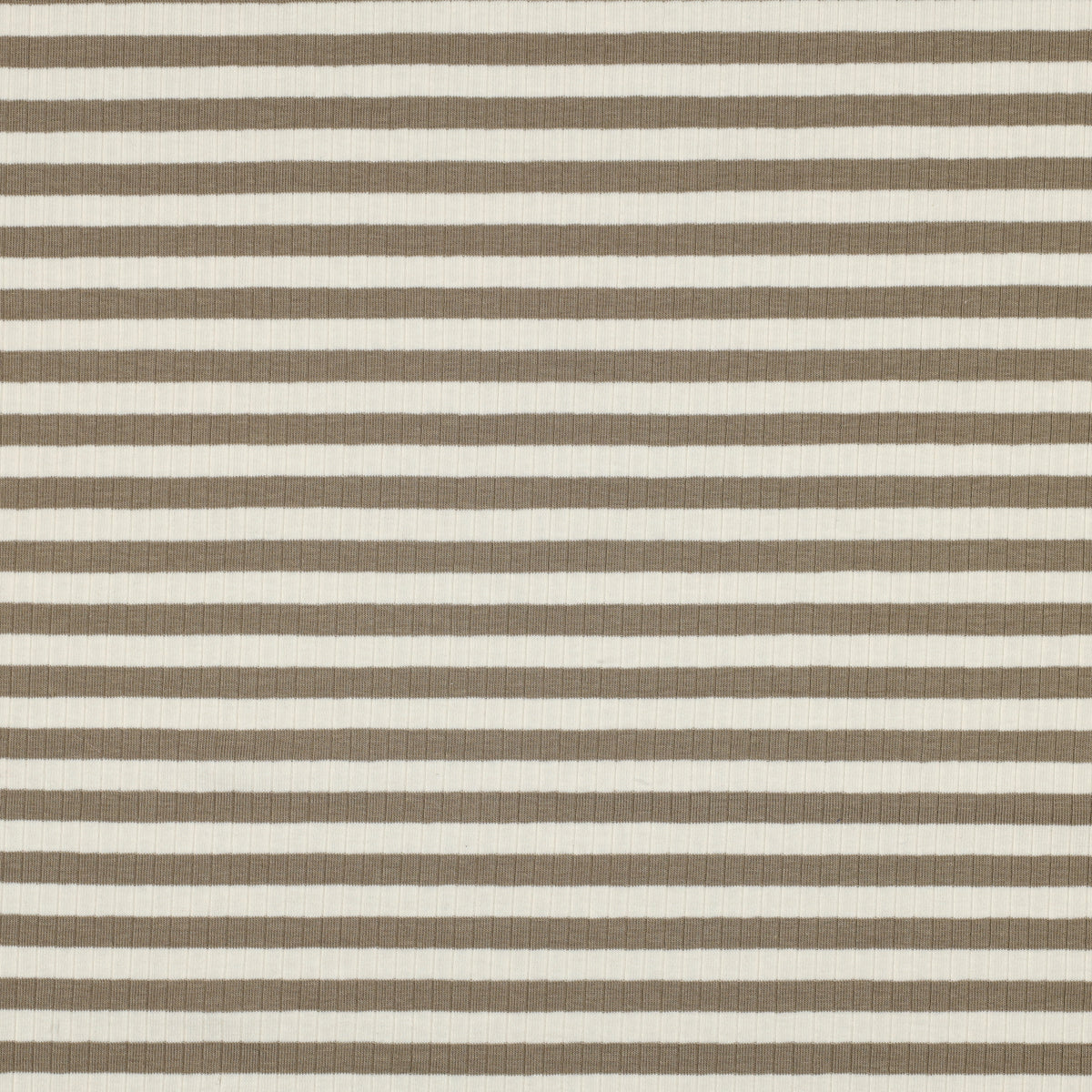 Striped Cotton Rib Knit in Sand