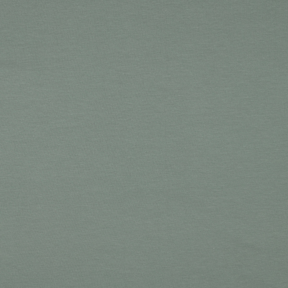 Organic Cotton French Terry in Dark Mint