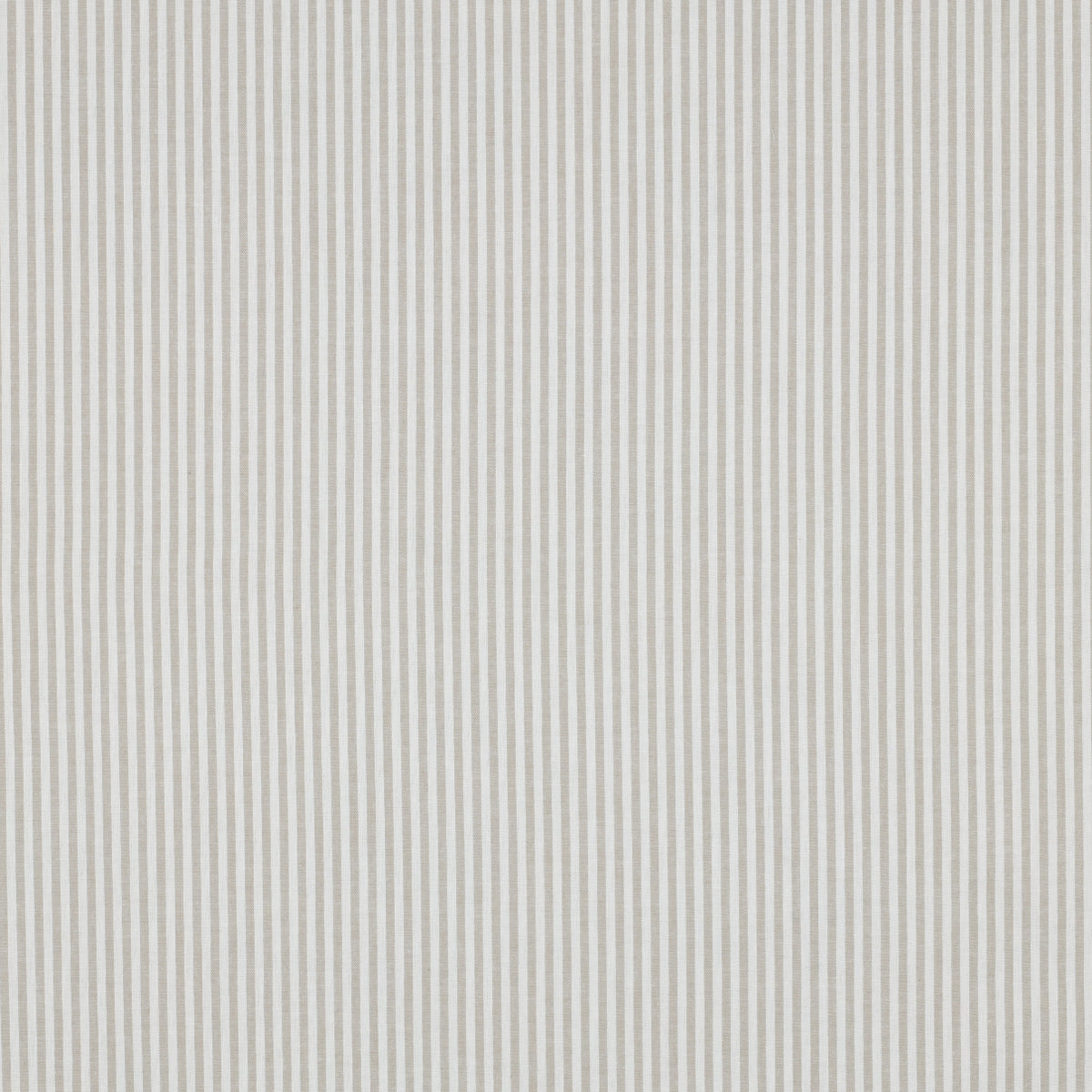 Yarn-Dyed Cotton Stripe in Sand