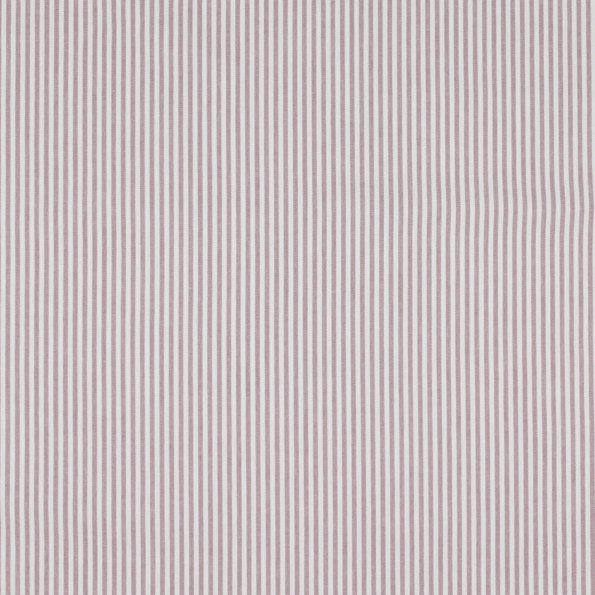 Yarn-Dyed Cotton Stripe in Mauve