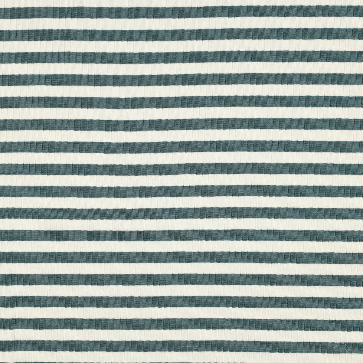 Striped Cotton Rib Knit in Petrol