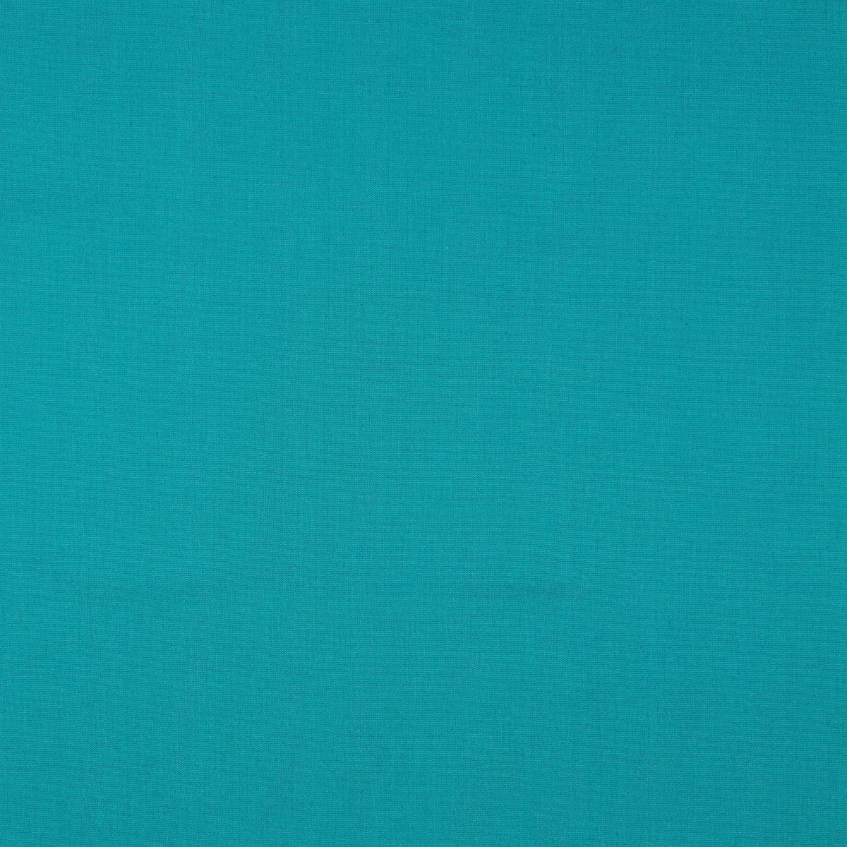 Organic Cotton Poplin in Petrol