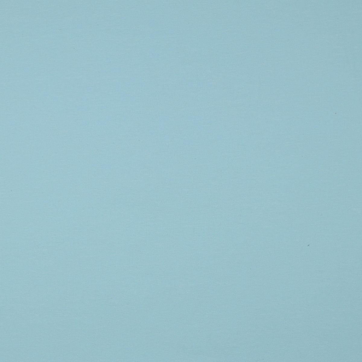 Organic Cotton Jersey in Light Blue