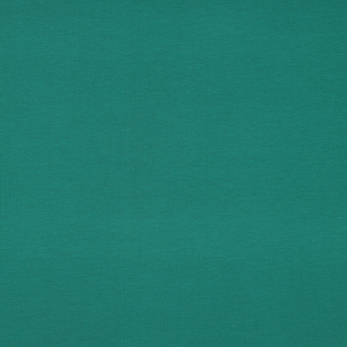 Organic Cotton Jersey in Emerald