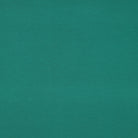 Organic Cotton Jersey in Emerald