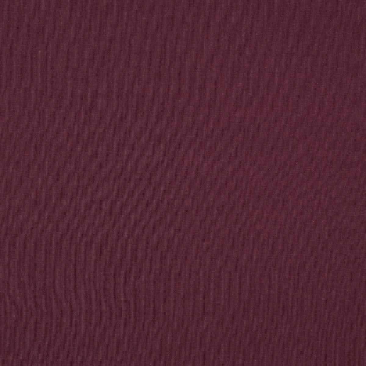 Organic Cotton Jersey in Aubergine