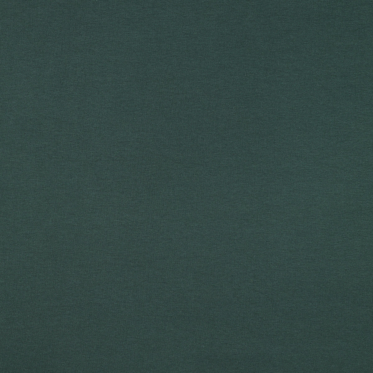 Organic Cotton French Terry in Forest Green