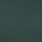 Organic Cotton French Terry in Forest Green